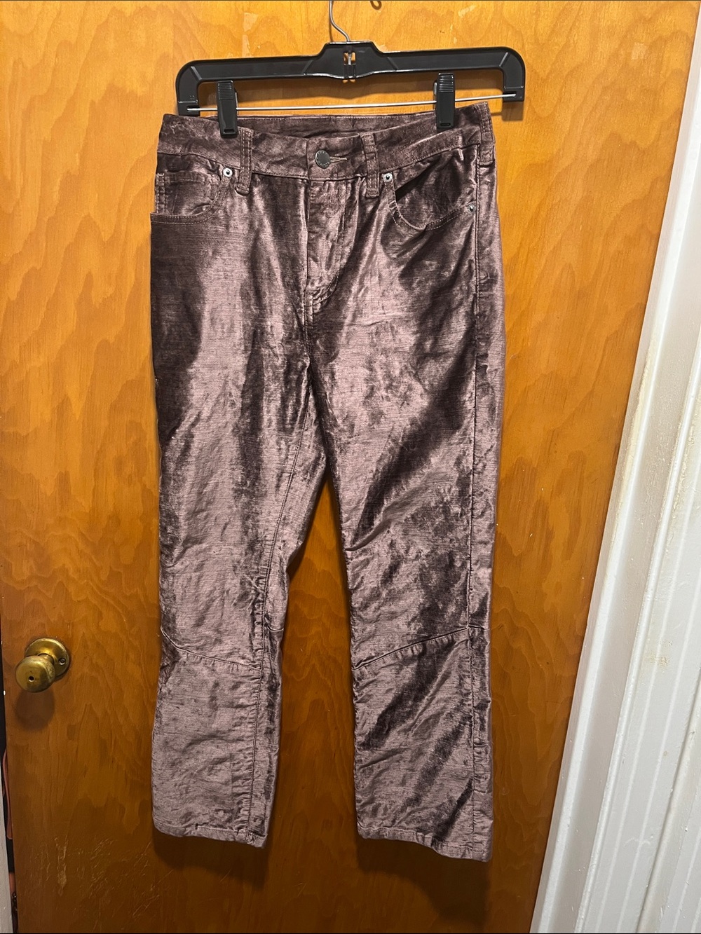 Free People Shimmery Chocolate Brown Velvet Pants